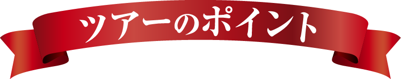 ツアーのポイン ト